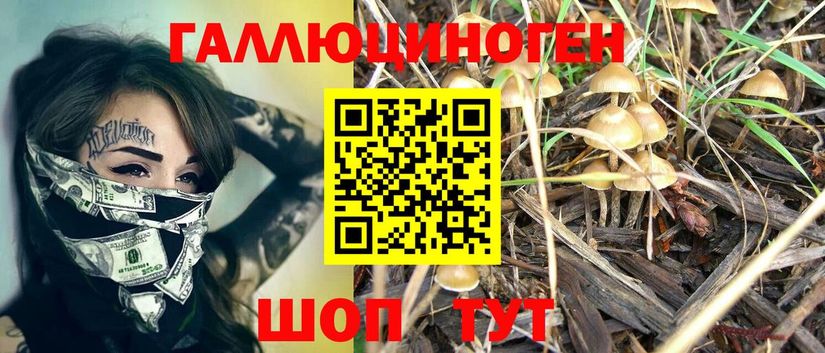 сколько стоит  Галлюциногенные грибы Psilocybe  Псилоцибиновые грибы Psilocybe  Вход с VPN  Городец 